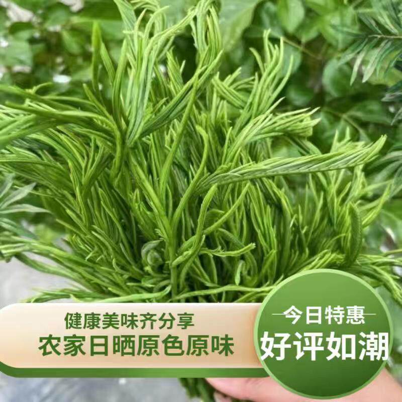 云南 臭菜 新鲜蔬菜 帕哈 泰国吃播网红菜傣族绿叶宴老挝菜特产