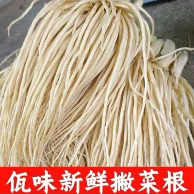 云南现挖新鲜撇菜根煮汤腌制凉拌