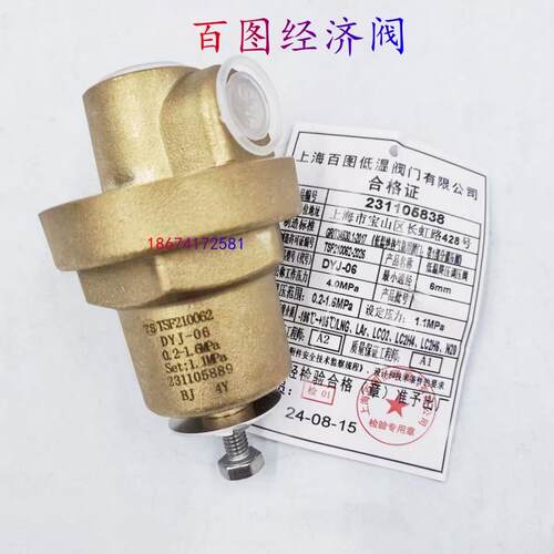 经济阀止回阀LNG压力表增压阀