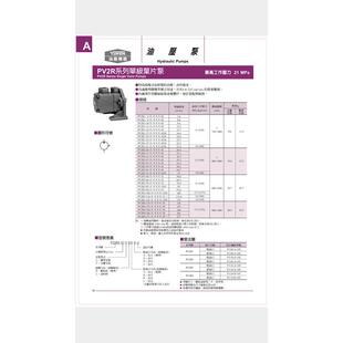 RADA RAA PV2R2 YUKEN台湾油研叶片泵PV2R2