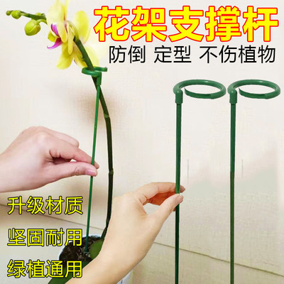 园艺花架支撑杆防倒伏蔬菜花卉