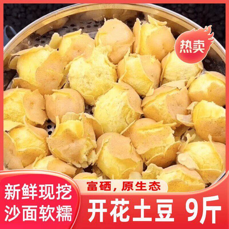 新鲜现挖甘肃定西黄心土豆9斤装沙面软糯原生态富硒蔬菜希森土豆5