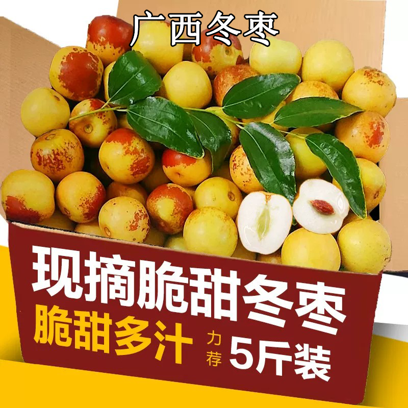 广西冬枣大果脆甜多汁冬枣5斤