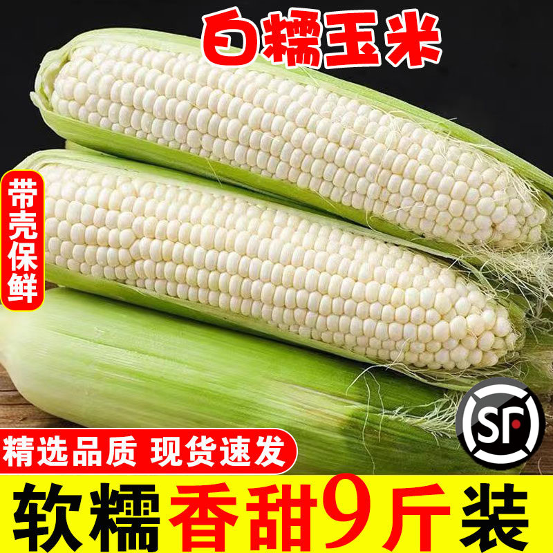 9斤农家现摘带皮甜糯白糯玉米