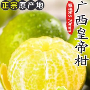 广西皇帝柑大果橘子当季水果9斤新鲜贡柑桔子现摘现发甜整箱包邮1