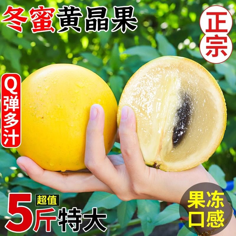 【顺丰现货】5斤冬蜜黄晶果黄金果百香新鲜水果鲜果稀有雅美整箱1