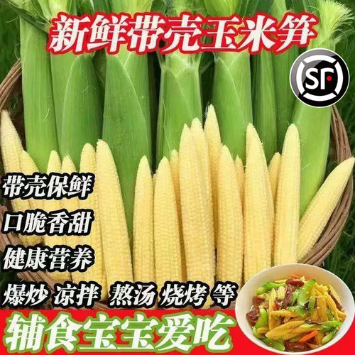新鲜现摘带壳甜玉米笋即食