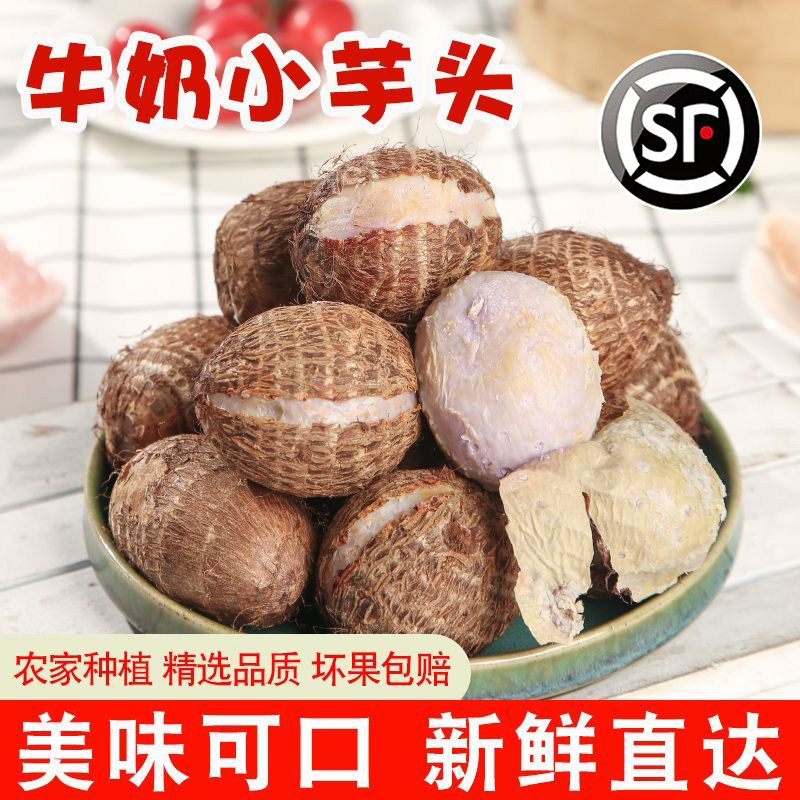 山东现挖新鲜软糯小香芋
