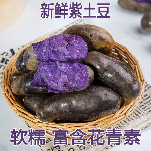 紫土豆黑土豆新鲜紫色洋芋马铃薯