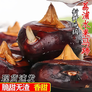 正宗广西桂林荔浦新鲜马蹄农家马蹄5斤现挖荸荠脆甜多汁新鲜蔬菜1