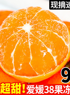 现货爱媛38号果冻橙新鲜橙子10当季水果整箱应9斤柑橘蜜桔子包邮5