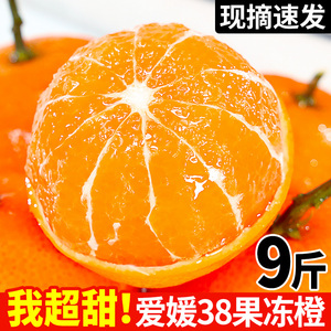 现货爱媛38号果冻橙新鲜橙子10当季水果整箱应9斤柑橘蜜桔子包邮5