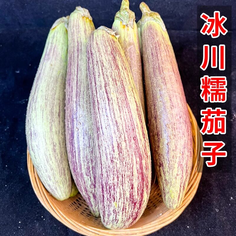 云南特产冰川糯茄子蔬菜当季新鲜