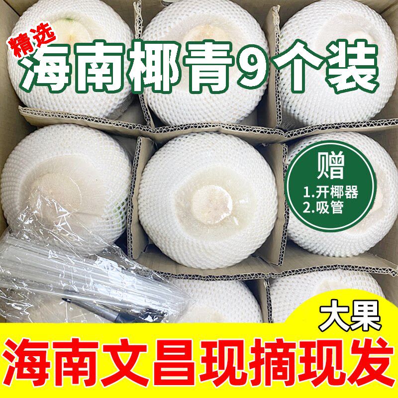 海南椰青9个装椰肉Q弹爽口椰汁清甜解渴现摘现发孕妇水果椰香去皮