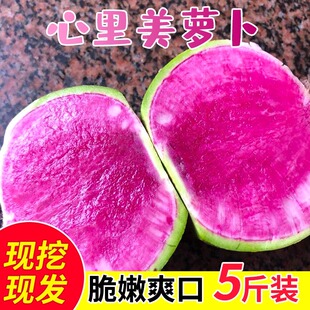 心里美萝卜农家胭脂红青皮生吃水果罗卜萝卜新鲜泡菜现挖带泥包邮