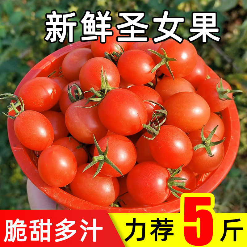 广西百色新鲜圣女果小番茄5斤装脆甜多汁农家自种西红柿酸甜整箱5,水产肉类/新鲜蔬果/熟食,番茄,淘宝优惠券,粉丝福利购,淘宝优惠卷
