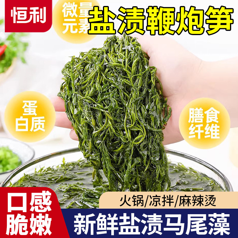 鞭炮笋海藻羊栖菜火锅凉拌菜海草火炮菜长寿菜盐渍马尾藻多种做法