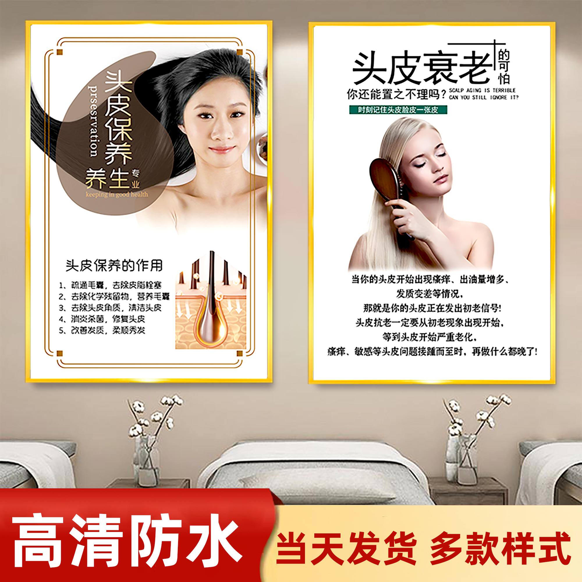 头皮保养宣传海报头皮检测图广告贴纸养发馆头皮保养背景墙装饰画