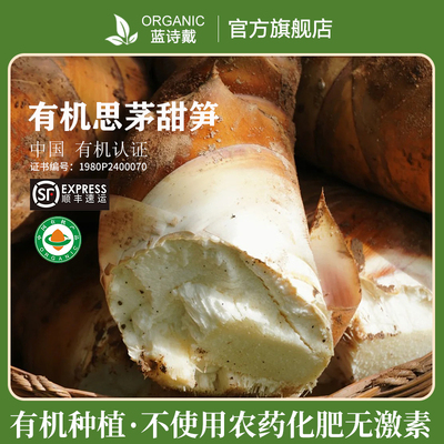 有机笋甜竹笋笋灌溉野生新笋