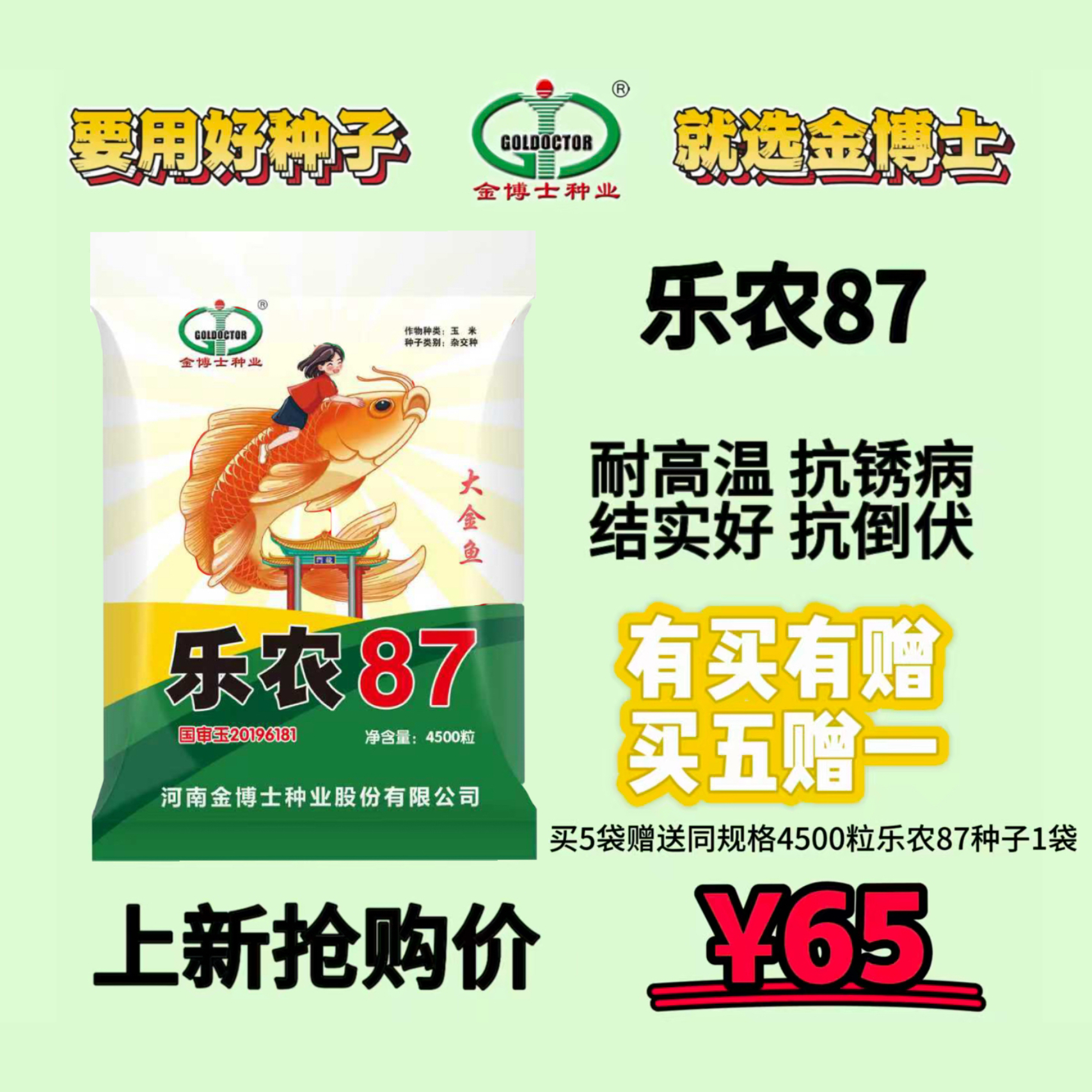 玉米种子乐农87金博士种业