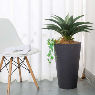 高深圆筒水泥花盆镁泥圆锥特大号简约落地客厅阳台绿植轻奢高级感