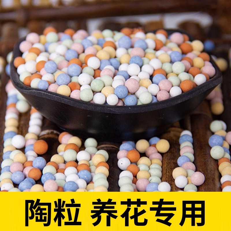 陶粒养花专用彩色铺面多肉花盆透气垫底颗粒水培盆栽铺面石彩陶