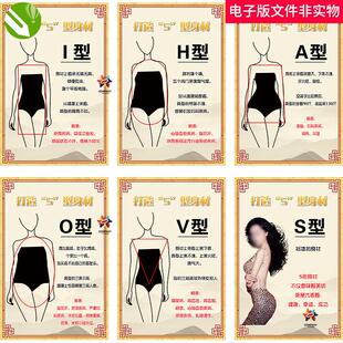 打造S型身材A型O型V型H型A型身材O型身材中医展板塑身医美素材图