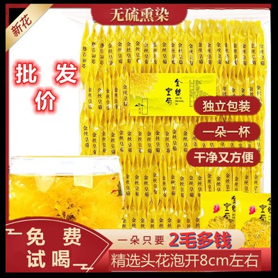 金丝皇菊一杯一大朵黄山贡菊