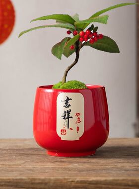 多肉花盆陶瓷中国风祝福词轻奢红色小盆创意个性透气简约桌面装饰