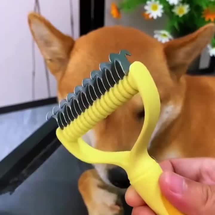 狗狗开结打结脱毛顺毛宠