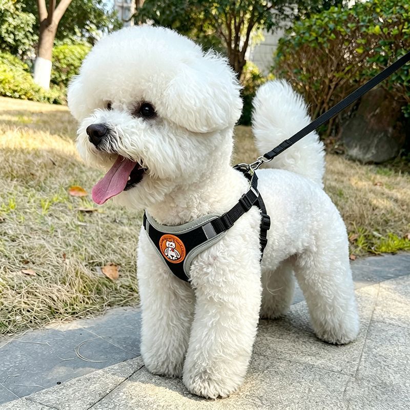 狗狗牵引绳背心式中小型