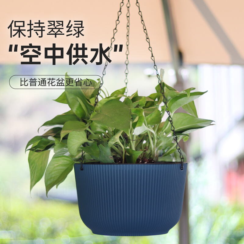 吊篮花盆悬挂式自吸水塑料垂吊兰多肉植物壁挂绿萝常春Z藤大号加