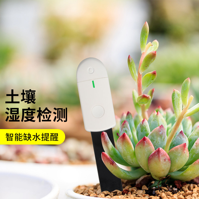 土壤湿度缺水提醒仪多肉花草水分探测仪智能检测仪花花草草监测器
