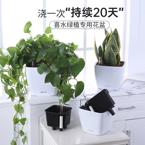 自动吸水简约树脂懒人绿萝花盆