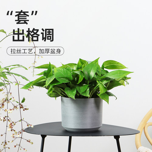 塑料无孔花盆套盆北欧简约室内绿萝装饰盆栽加厚大号树脂绿植水培