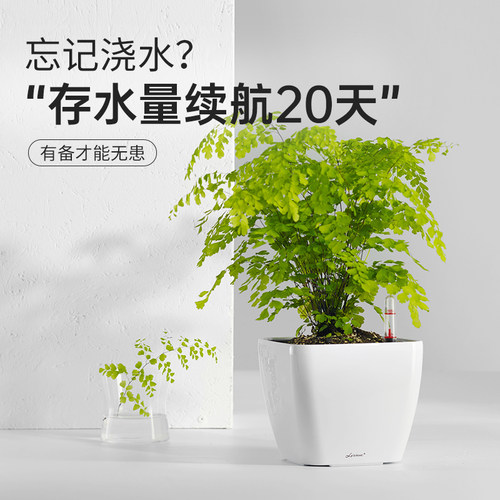 懒人自动吸水花盆桌面仿陶瓷简约