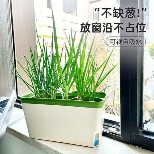 室内种植盆种葱栽葱种菜专用箱种菜盆神器家庭阳台小花盆家用盆栽