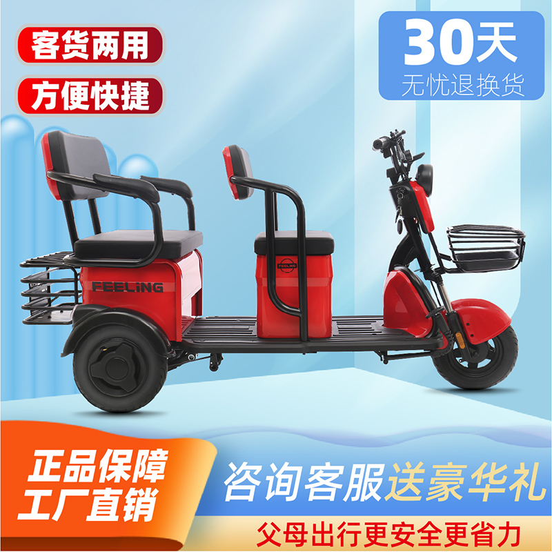 电动三轮休闲客货两用接送孩子
