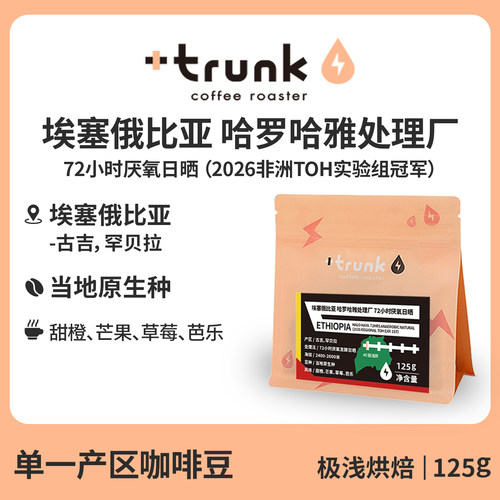 埃塞俄比亚雅非洲TOH冠军咖啡豆