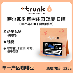 2025COE季军竞标批次萨尔瓦多巨树庄园日晒瑰夏浅烘手冲黑咖啡豆