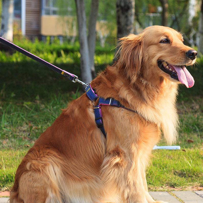 狗狗牵引绳遛狗绳背心式小型中大型犬泰迪金毛牵狗绳狗链栓狗绳子