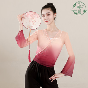 舞韵基训纱衣艺考水钻古典舞蹈服女练功服长袖渐变新款演出服古风