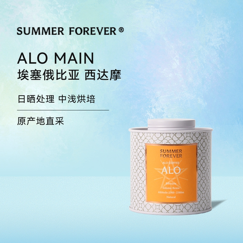 永夏｜ALO咖啡豆 埃塞俄比亚西达摩日晒中浅烘手冲咖啡豆 120g