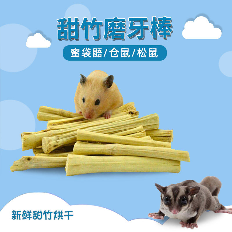 松鼠龙猫兔子荷兰猪仓鼠豚鼠蜜袋鼯优质甜竹干100克甘蔗磨牙用品