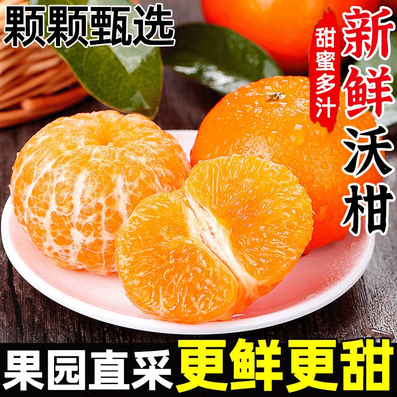 精品广西武鸣沃柑新鲜水果当季整箱10现摘斤沙糖蜜橘砂糖柑橘桔子