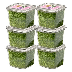 到手四瓶】河南荆芥酱下饭酱拌面酱新货拌面荆芥酱下饭神器200g