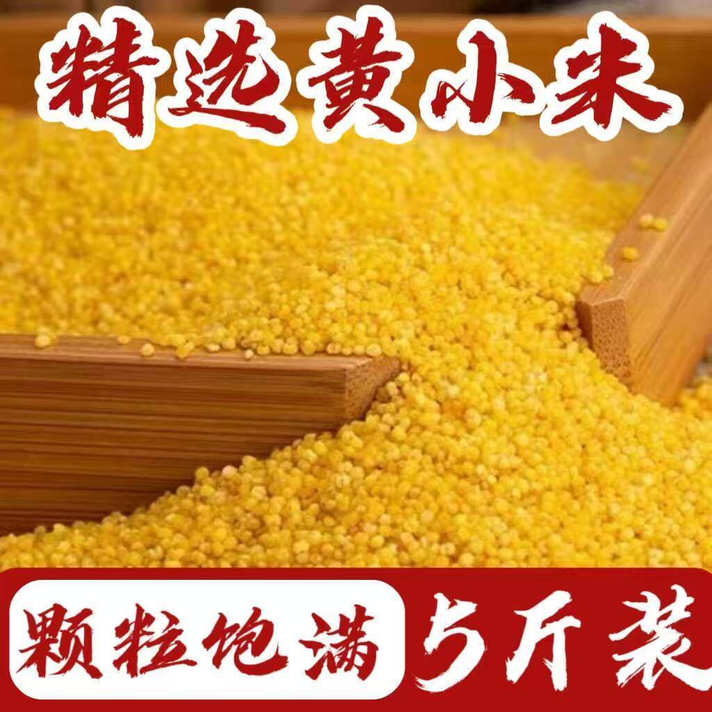 东北黄小米新米五谷杂粮