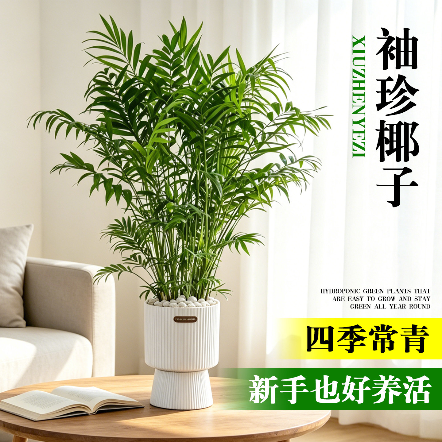 袖珍椰子盆栽室内客厅办公室桌面绿植四季好养观叶植物净化空气