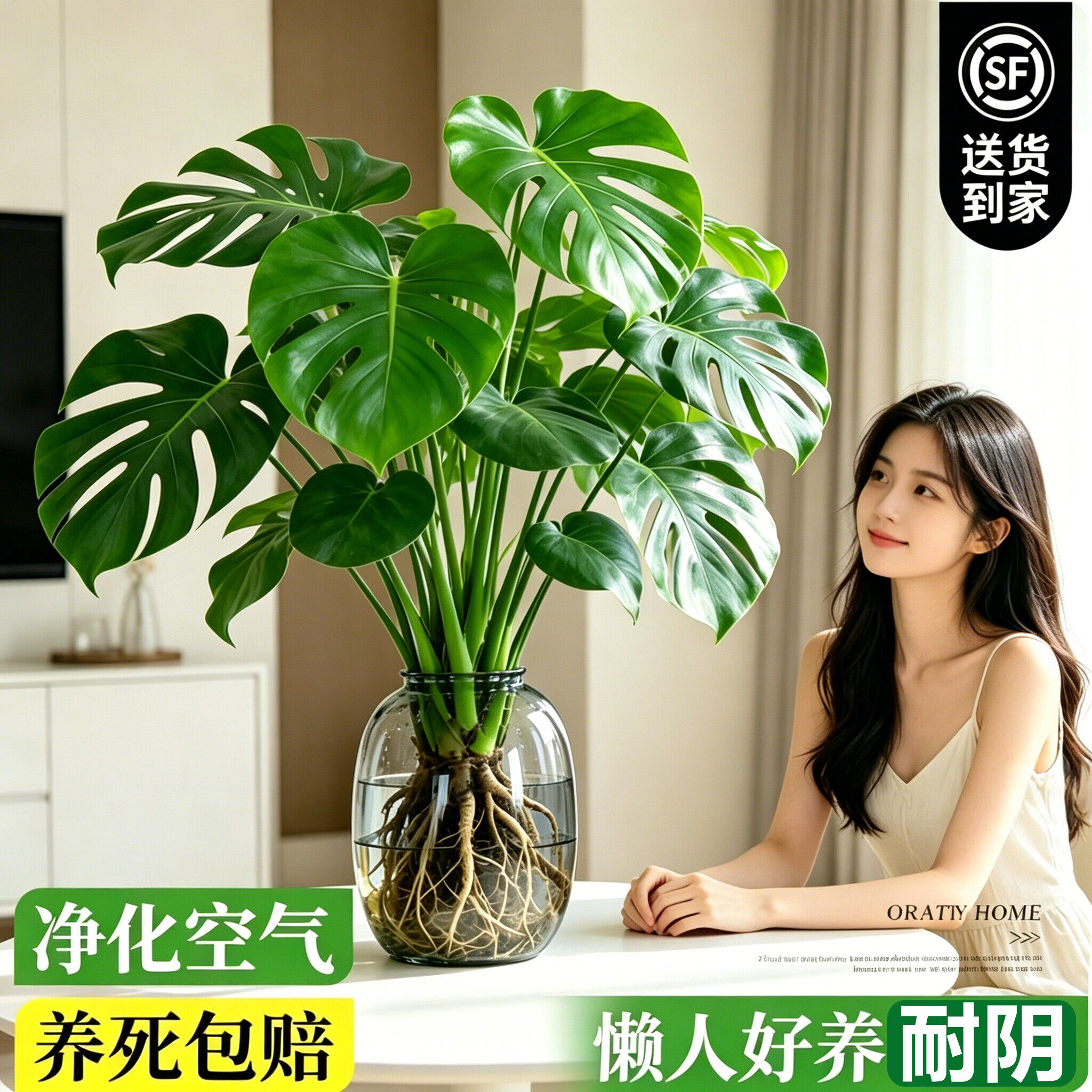 商品图