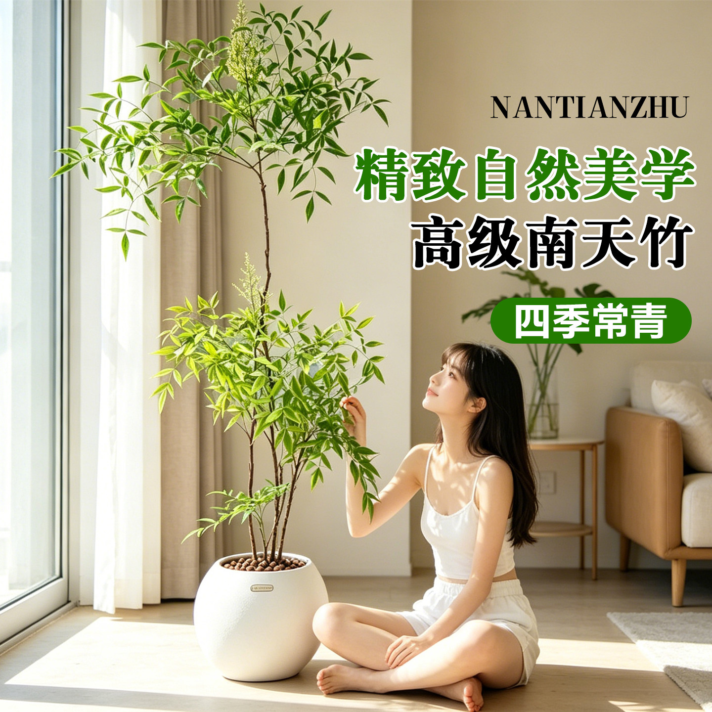 南天竹盆栽客厅真树室内绿植大型植物树苗办公室火焰老桩落地造景